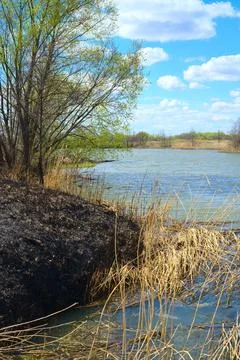 The river in the spring and the grass burned on the bank. Blue sky Stock Photos