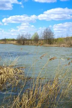 The river in spring and the grass is still sand-colored. Blue sky and white c Stock Photos