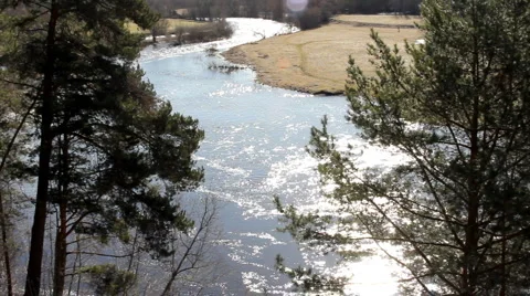 River in spring birds singing Video stock 4051295
