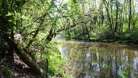 The river at the spring Stock Footage 74208406