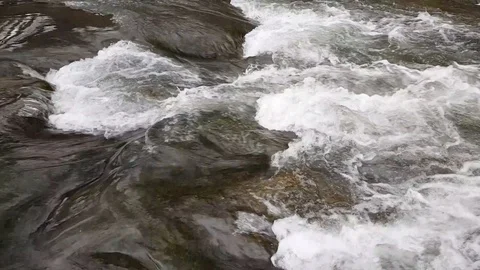 River in the spring 스톡 동영상 85832976