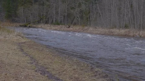 River in the spring Stock Footage 98706889