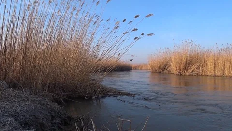 River in spring Stock Footage 126761024