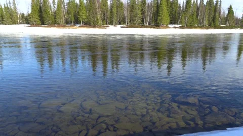 River in spring Stock Footage 275732908