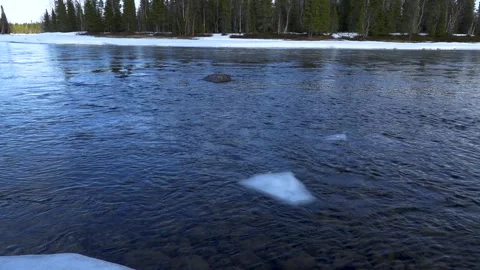 River in spring Stock Footage 275732922