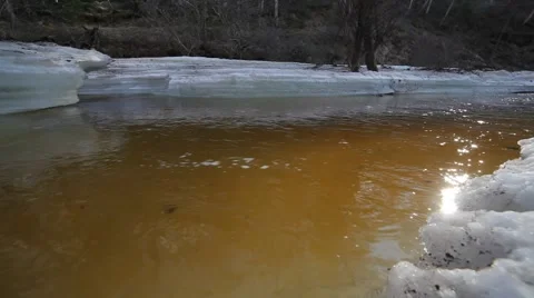 River in the spring forest Stock Footage 49758358