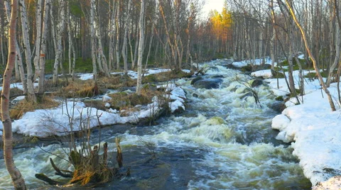 River in spring forest. Stock Footage 62873719