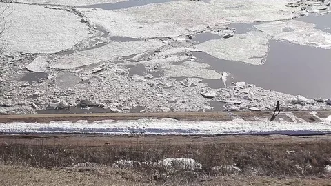 River spring ice a man with a dog walks on the shore Stock-Footage 71668374