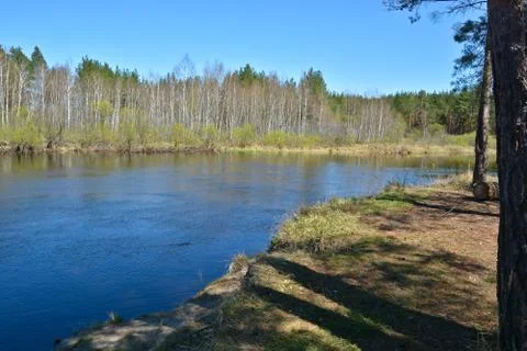 River spring landscape. Stock Photos