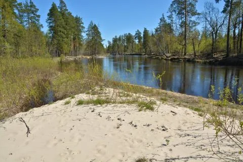 River spring landscape. Stock Photos