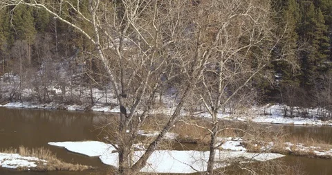 The river in the spring. Melting snow and ice. Stock Footage 89699454