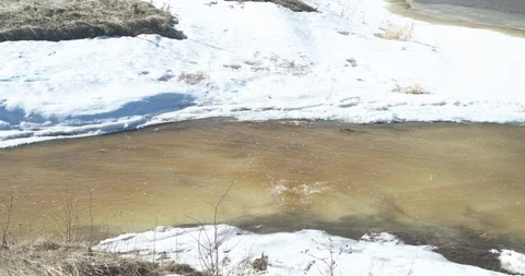 The river in the spring. Melting snow and ice. Video stock 89707846