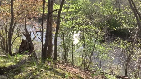 River in the spring nature trees sunlight scenic Video stock 50055166