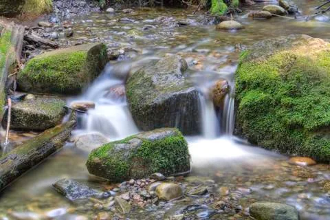 River in spring Stock Photos