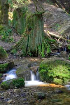 River in spring Stock Photos