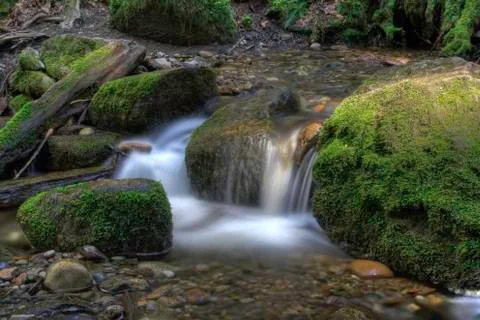 River in spring Stock Photos