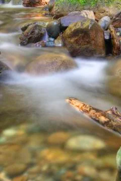 River in spring Stock Photos