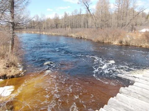 River in spring 库存照片