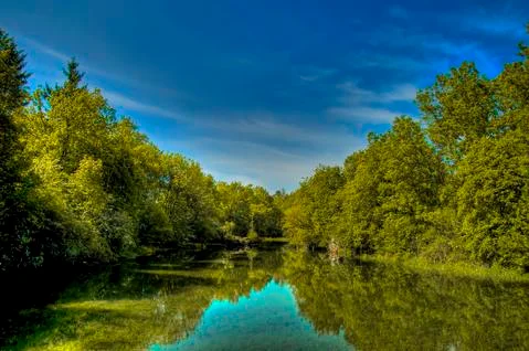 The river in the spring Stock-Fotos