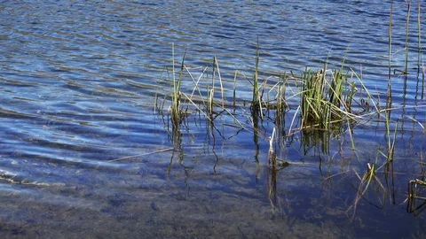 River in Spring Season. 스톡 동영상 87946740