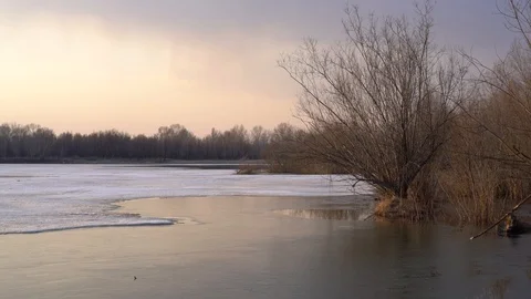 River in the spring at sunset 스톡 동영상 88676907