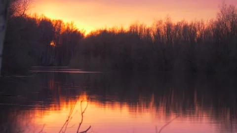 River in the spring in sunset Stock Footage 283581654