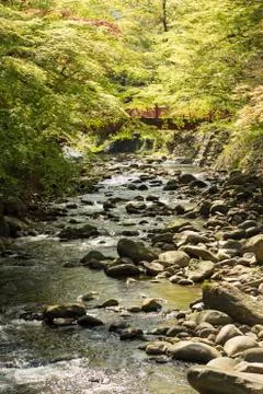 River in spring time Stock Photos