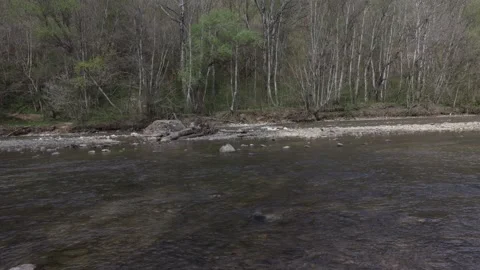 The river in the spring of the year, a slow flow along a shallow riverbed Stock Footage 283966180