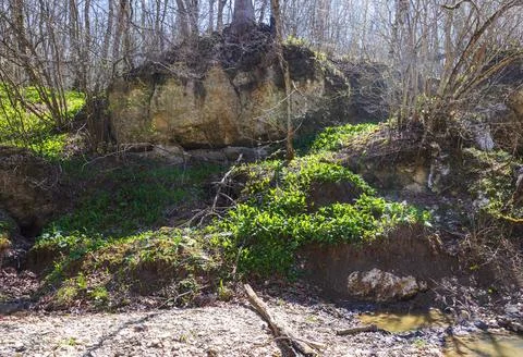 The river in the spring of the year, a slow flow along a shallow riverbed Stock Photos