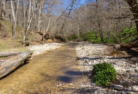 The river in the spring of the year, a slow flow along a shallow riverbed Stock Photos