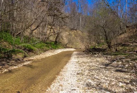 The river in the spring of the year, a slow flow along a shallow riverbed Stock Photos