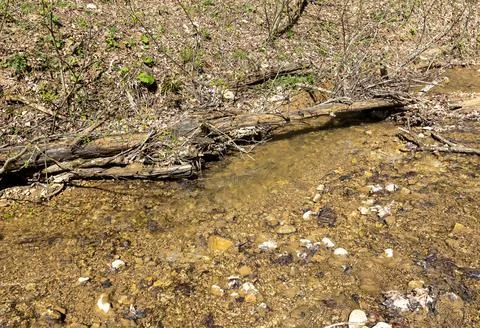 The river in the spring of the year, a slow flow along a shallow riverbed Stock Photos
