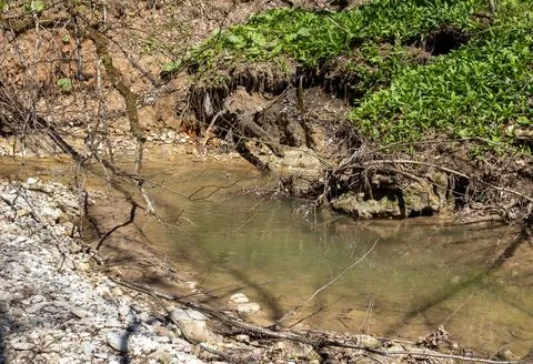 The river in the spring of the year, a slow flow along a shallow riverbed Stock Photos