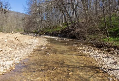 The river in the spring of the year, a slow flow along a shallow riverbed Stock Photos