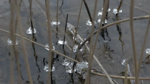 River starts freezing Stock Footage 123228179