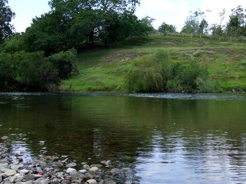 River still Stock Photos