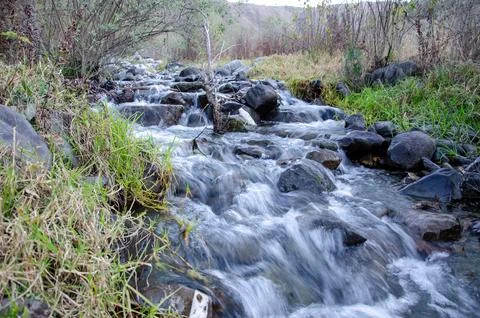 River stone 4 Stock Photos