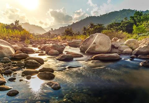 River stone and tree with sun beam, Stone river and sun ray in forest Stock Photos