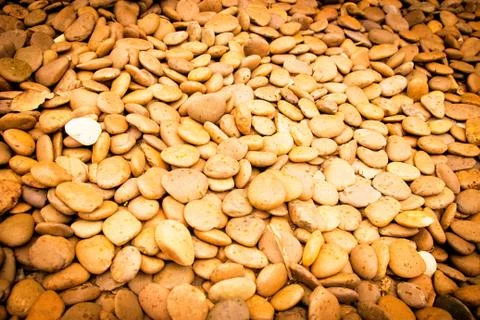 River stone background Stock Photos
