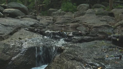 River stone bed in jungle during dry season Stock Footage 332035491