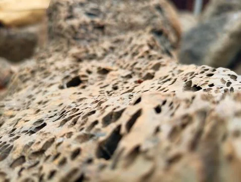 River stone Stock Photos