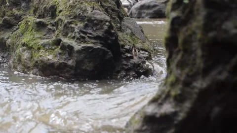 River - Stone - Tropical River - 4K - Asian Rivers Video stock 283440251