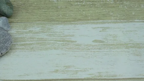 River stones and shells close up Stock Footage 81114064