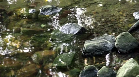 River stones are based in clear transparent water Stock Footage 51173765