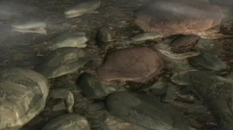 River stones Stock Footage 671658