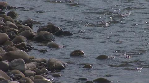River stones Stock Footage 8648392