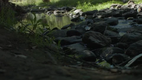 A river with stones Stock Footage 149225198