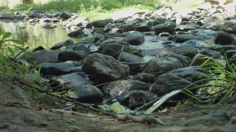 A river with stones Stock Footage 149225207