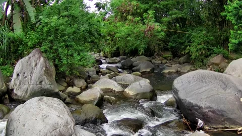 River of stones Stock Footage 167799630