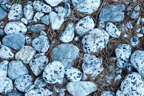 River stones Stock Photos